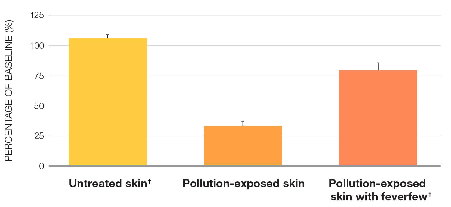 Compare untreated vs pollution-exposed skin